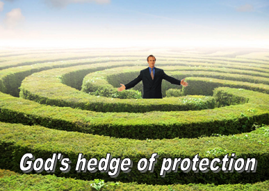 hedge-of-protection-sm-1